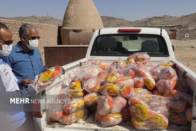  اسکندری: ۷۲۰ کیلوگرم مرغ و شنیسل فاسد در زاهدان معدوم شد