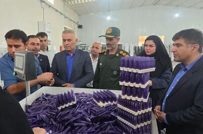  فرماندار گناوه: سرمایه‌گذاری صنعتی در بندرریگ هدفمند انجام شد