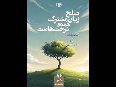  مجموعه‌شعری برای نوجوان‌ها؛ شعر نوجوان کم‌مخاطب نیست، کودکانه است!