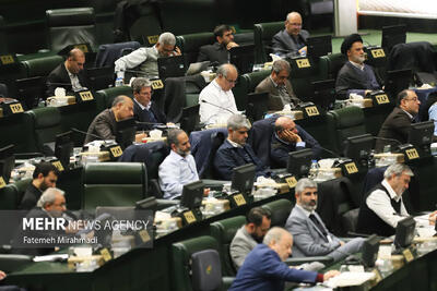  جمعی از نمایندگان خواستار رفع مشکل کمبود معلم شدند