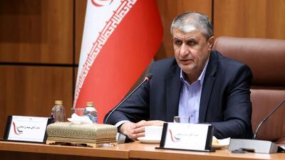  اسلامی: دستیابی به تولید ۲۰ هزار مگاوات برق هسته‌ای ممکن است!