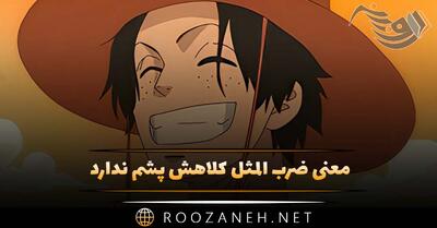  معنی ضرب المثل کلاهش پشم ندارد + با داستان جالب
