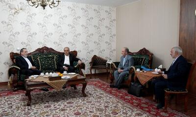  دیدار عراقچی با خانواده استاد دانشگاه ایرانی زندانی در ترکیه