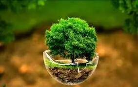  جای خالی گیاه‌خواری در سیاست‌های محیط‌زیستی کشور