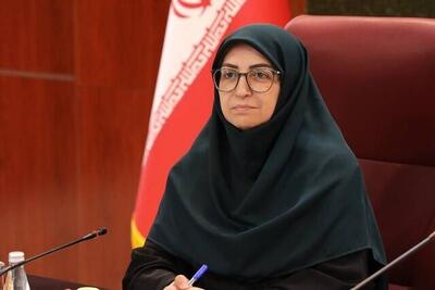  انصاری: خودرو‌ها سهم بالغ بر ۸۰ درصدی در تولید گاز‌های آلاینده دارند