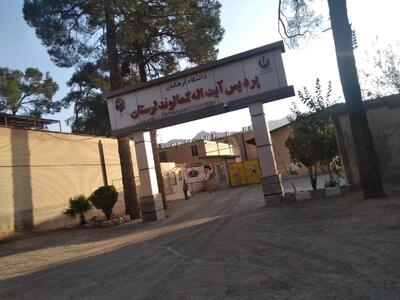  گازگرفتگی دانشجویان دانشگاه فرهنگیان خرم‌آباد را راهی بیمارستان کرد