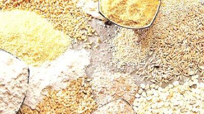  اسدیان: بحران تأمین نهاده‌های دامی نتیجه انحصارگرایی در واردات است + فیلم