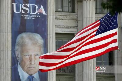  از ساندویچ کچاپ تا وعده‌های ناتمام؛ جنگ نان در سرزمین دلار