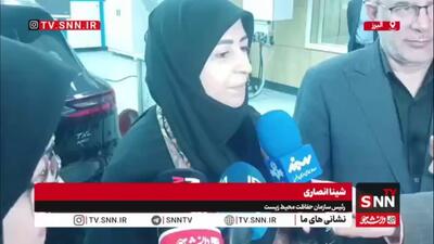  انصاری: خودروها سهم بالغ بر 80 درصدی در تولید گازهای آلاینده دارند