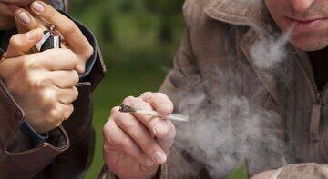  عوارض وحشتناک مصرف حشیش و گل