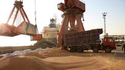  تخلیه ۲۲ هزار تن گندم وارداتی در بندر بوشهر