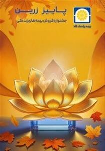  بیمه پاسارگاد رکورد شکنی کرد . . . - تسنیم