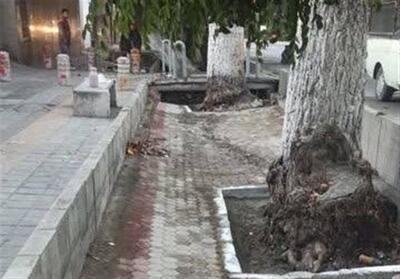  اخبار تهران| ساماندهی انهار خیابان شریعتی/‍ ایمن‌سازی اتوبان آزادگان با نصب نیوجرسی - تسنیم