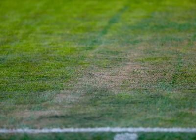  فاجعه باورنکردنی چمن یادگار امام! (عکس)