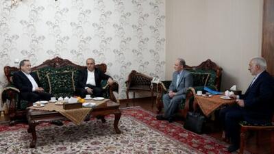  دیدار عراقچی با خانواده استاد دانشگاه ایرانی زندانی در ترکیه