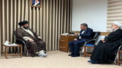  تاکید مشاور رئیس‌جمهور بر اهمیت همدلی و اعتمادسازی در استان‌ها