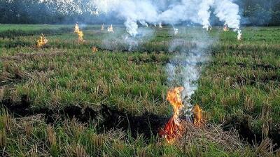  ممنوعیت سوزاندن بقایای مزارع و محصولات کشاورزی در خوزستان