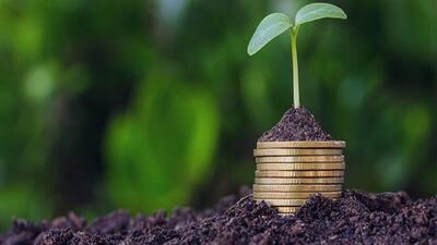  بیمه فراگیر گندم اجرا می‌شود؟