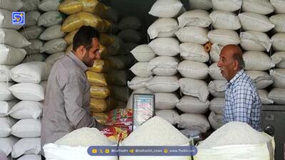  خبر مهم درباره برنج تنظیم بازار اعلام شد؛ ۱۲ آبان