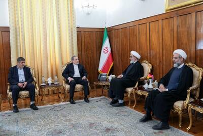  رئیس سازمان قضایی نیروهای مسلح با عراقچی دیدار کرد