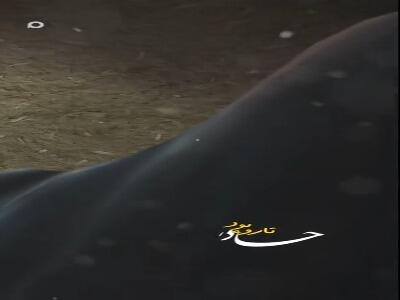  استوری/ تار و پود چادر تو، تار و پود زندگیمه