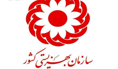  حق پرستاری معلولین شدید چقدر شد؟ / اعلام رسمی زمان واریز از سوی بهزیستی / مبلغ تازه پرداختی شگفتی‌ساز شد