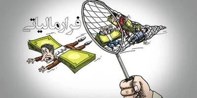  کشف پرونده‌های بزرگ فرار مالیاتی در یزد و خراسان رضوی (+جزئیات)
