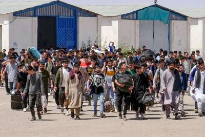  طالبان: مهاجران افغانستانی می توانند برگردند؛ اطمینان می دهیم جان‌تان در امان است