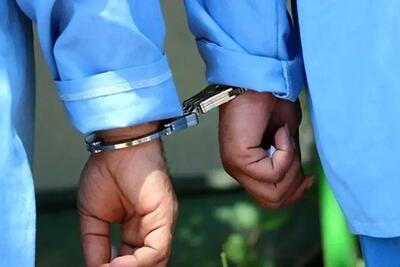  دستگیری سارقان جنوب تهران پس از انتشار تصاویر در فضای مجازی (فیلم)