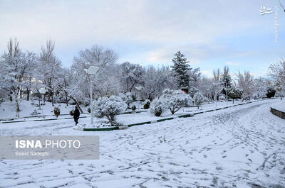  حال و هوای دیدنی یک روز برفی تبریز در پاییز دهه 70