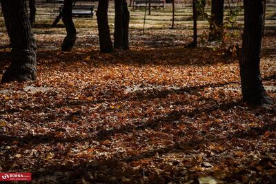  حال و هوای پاییز در مشهد