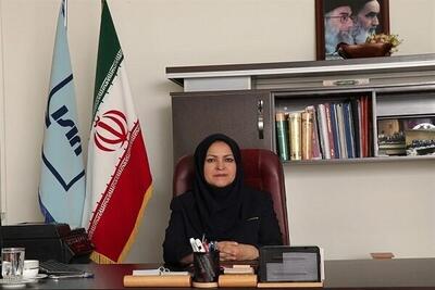  حدود مجاز آلاینده‌های خودروها مطابق با استانداردهای جهانی است