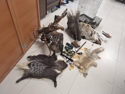  دستگیری بزرگترین شکارچی حیات وحش استان در اقبالیه