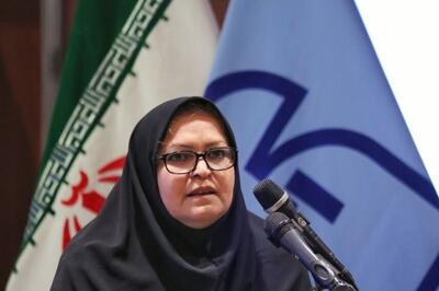  رئیس سازمان استاندارد: ارتقای استانداردهای خودرویی با هماهنگی وزارت صمت اعمال می‌شود