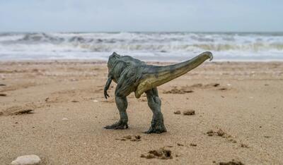  دختر ۱۰ ساله هنگام قدم زدن در ساحل به‌طور اتفاقی به ۵ ردپای دایناسور برخورد کرد - گیمفا