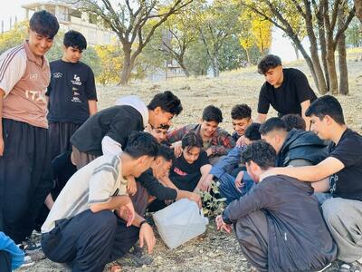  نگهبانان کوچک بلوط‌ها | درباره کودکان یک روستا که همگی محیط‌بان جنگل‌های بلوط شده‌اند