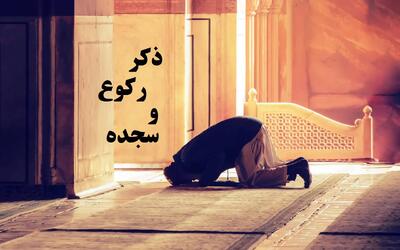  ذکر رکوع و سجده در نماز + احکام و اشتباهات رایج آن
