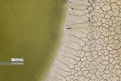  آورد رودخانه های استان بوشهر ۸۵درصد کاهش یافت