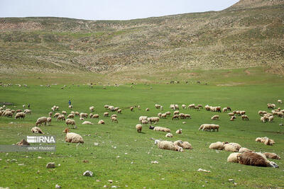  احیای ۲۰ میلیون هکتار از مراتع کشور هدف گذاری شد