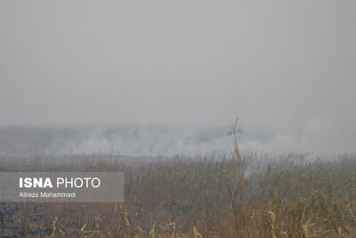  تصمیم درباره هورالعظیم، شفاف به مردم خوزستان گفته شود