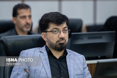  عضو شورای شهر مطرح کرد: آخرین سپرهای دفاعی اراک در برابر آلودگی هوا، در معرض زوال