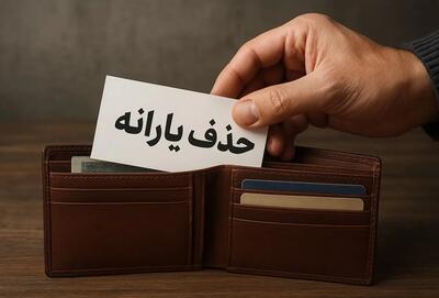  حذف یارانه‌ها در خطر تصمیم شتاب‌زده؛ نماینده مجلس خواستار بازنگری فوری شد