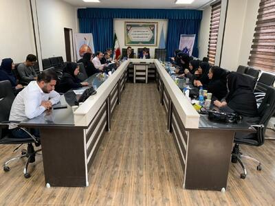 ۵۳ درصد از پرونده‌های شورای حل اختلاف ایلام منجر به صلح و سازش شد