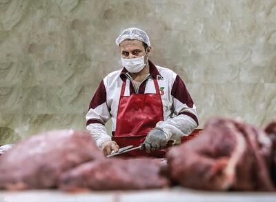  وزارت جهاد توپ نهاده‌ها را به زمین بانک مرکزی انداخت