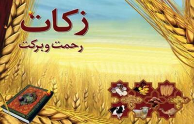  روشن‌سرشت: بیش از ۷۲ میلیارد تومان زکات در استان زنجان جمع آوری شد
