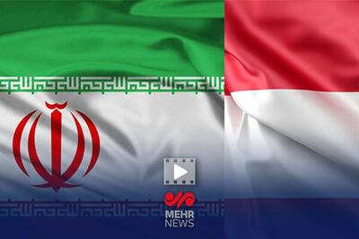 تهران و وین در مسیر گسترش خدمات کنسولی