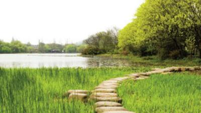  میگنا - روانشناسی بالینی اصلی‌ترین گرایش رشته روانشناسی