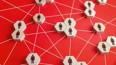  میگنا - اقدام اجتماعی چیست ؟