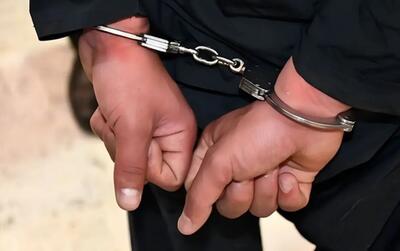  جزئیات تازه از بازداشت مرد مدعی مقابله با بدحجابی