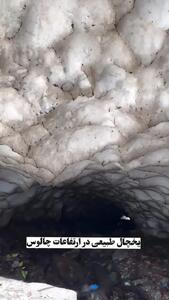  فیلم / مناظر سرسبز چالوس
